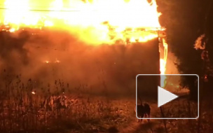 В Ленобласти загорелся дом: пожарные спасли дедушку и собаку