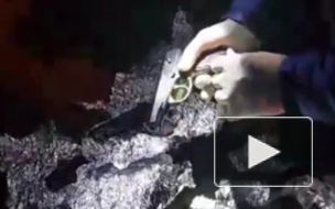 Полиция Петербурга разоружила 160 любителей незаконной стрельбы