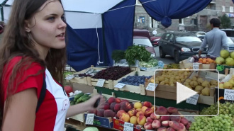 Власти Петербурга капитулировали перед "русскими зачистками"