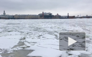 Петербуржцы делятся видео Невы, которую забил лед