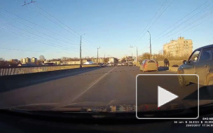 В сети появилось забавное видео из Твери: собака управляет авто