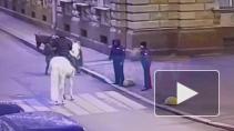 В Мариинском дворце прокомментировали потасовку охранников с наездницами
