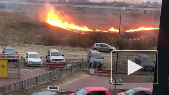 Видео: очевидцы сообщили о серьезном пожаре в районе Кудрово