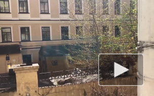 В Петербурге у закрытого на карантин роддома установили полевой госпиталь