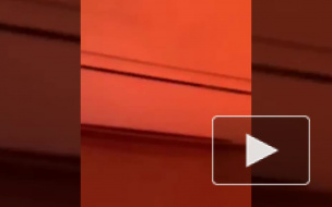 Центральный СК России расследует трагедию в Шереметьево: допрашиваются пассажиры и сотрудники аэропорта