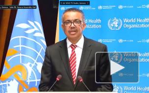 ВОЗ назвала 4 сферы, в которые человечеству нужно вложиться для выхода из кризиса