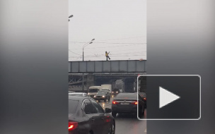 Петербургский роллер-гитарист прокатился по мосту Обводного канала