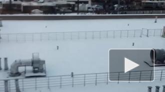Полиция применила газ на акции протеста в Петербурге