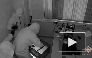 Троих петербуржцев подозревают в серии краж на сумму более 12 млн рублей в Московской области