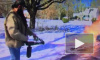 "Устал от зимы": Американец вышел на борьбу со снегом с огнеметом