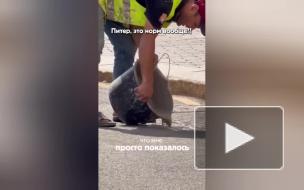 "Водоканал" оценил ущерб от сброса цемента в колодец на Миллионной улице 