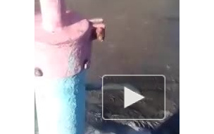 В Омске жители частного сектора вынуждены пить грязную воду  