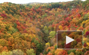 Землетрясение в Канаде оценили как "опустошительное"