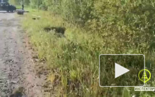 Водитель Lada Granta разбился в Киришском районе Ленобласти