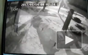 В Воронеже мужик нагло вытащил аккумулятор из машины и попал на видео