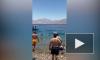 Акула посеяла панику на общественном пляже и попала на видео