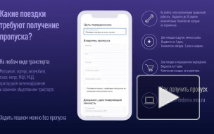 В Подмосковье стало возможно оформить цифровой пропуск по СМС