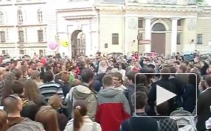 Кошка Василиса вернется на прежнее место через 2 года