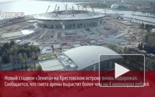 Протест строителей "Зенит-Арены": Прокуратура проверит факт задержки зарплат