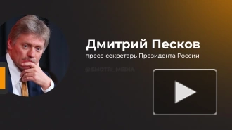 Пресс-секретарь Путина Песков назвал "ЧВК Редан" псевдосубкультурой со знаком минус