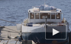 Дыхание Петербурга: главные новости недели