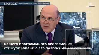 Мишустин призвал компании не затягивать с переходом на отечественное ПО