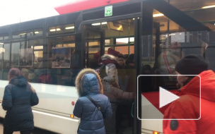 В Петербурге на маршрут вышел "Трамвай Ленинградской Победы"