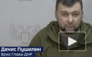 Пушилин заявил о необходимости усилить систему ПВО в ДНР