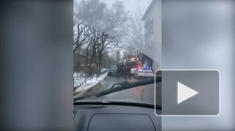 Петербуржец заметил на Будапештской автобус с несовершеннолетними, которых отводили в участок полиции