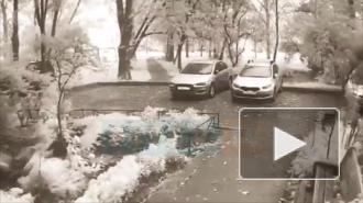 Момент падения дерева на Mitsubishi Lancer попал на видео