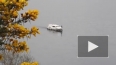 Ужасающее видео из Шотландии: на озере Лох-Несс вновь ...