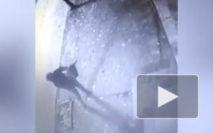 На Украине обстреляли здание консульства Азербайджана