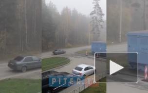 Густой туман накрыл Петербург и Ленобласть утром 1 ноября