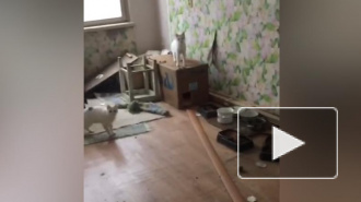 Два кота затопили несколько квартир в доме на улице Верности