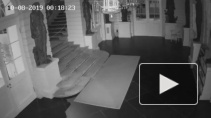 В Павловском дворце заметили необычное явление, похожее на привидение