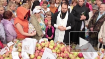 На Яблочный Спас петербуржцев угостили яблоками. Горожане съели всё