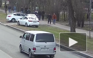 Жителей Красного Села возмутил проезд по газону на проспекте Ленина