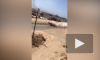 Армия Хафтара попала в засаду у Триполи