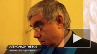 Гнетов: На выборах в Петербурге зафиксировано всего 2 нарушения