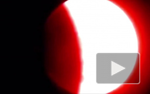 Накануне Дня ВДВ вместо гей-парада петербуржцы увидят "голубую луну"