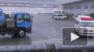 Украинцы с Diamond Princess отказались эвакуироваться на родину