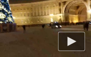 Пожилой петербуржец "заминировал" 129 городских елок