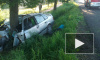 В Волосовском районе несовершеннолетний водитель устроил смертельное ДТП
