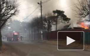 Видео: в Сестрорецке со взрывами сгорел частный дом