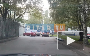 Петербуржцы обнаружили труп пожилого мужчины на улице Жени Егоровой 