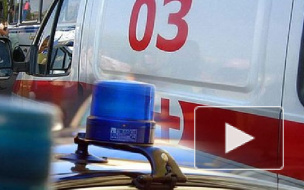 Девушка разбилась насмерть, пытаясь спасти кота