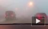 Плотный туман утром 10 февраля замедлил движение на ЗСД