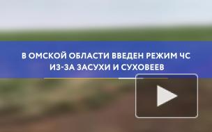 В Омской области введен режим ЧС из-за засухи и суховеев