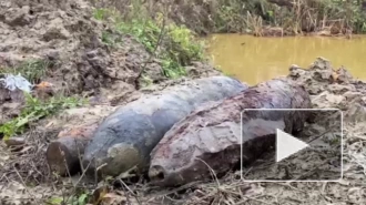 В Ленобласти на полигоне взрывотехники ОМОН Росгвардии уничтожили боеприпасы времён войны