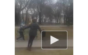 Отвратительная драка псковских "лошадниц" попала на видео